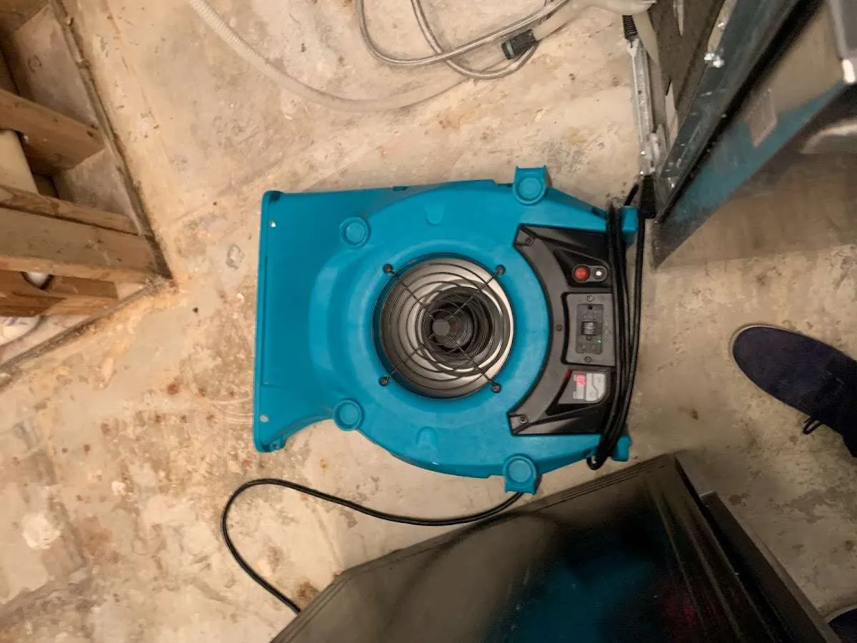 Air mover drying equipment for Mold Remediation & Removal in Groveland